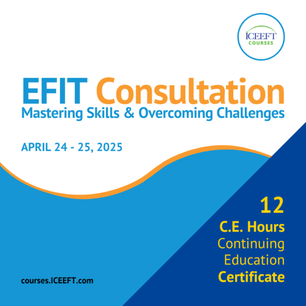 CE CERTIFICATE - EFIT Consultation April 2025