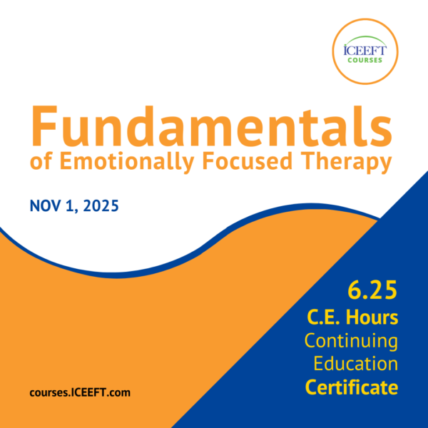 CE CERTIFICATE - FEFT November 2025