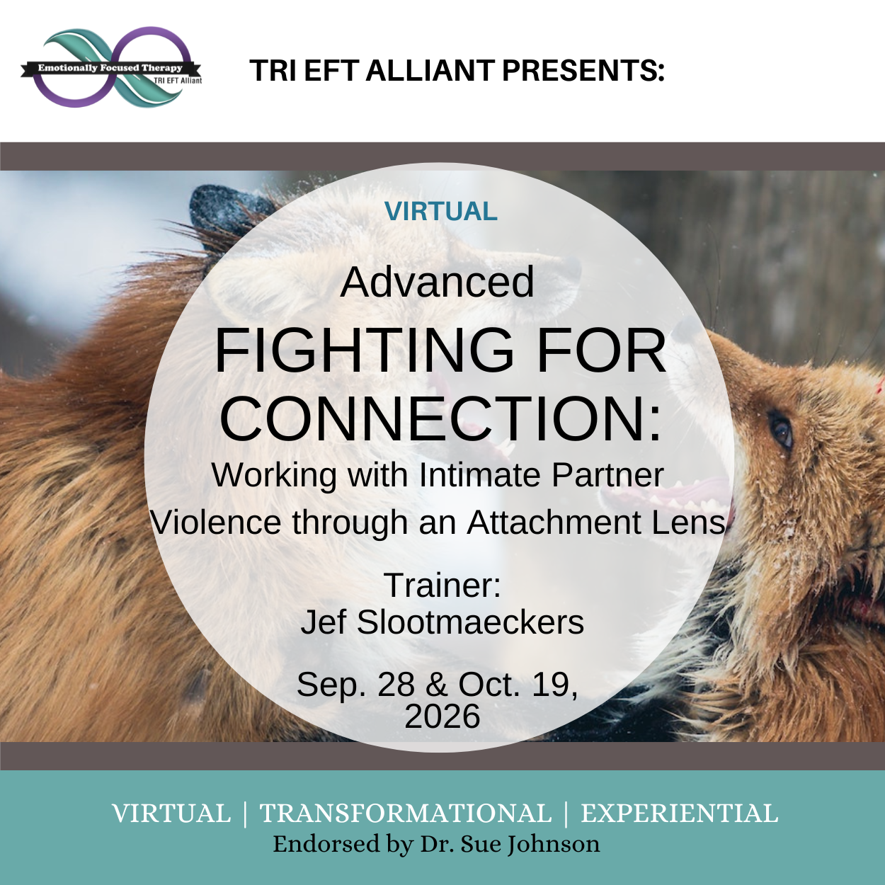 Advanced Fighting for Connection 2026